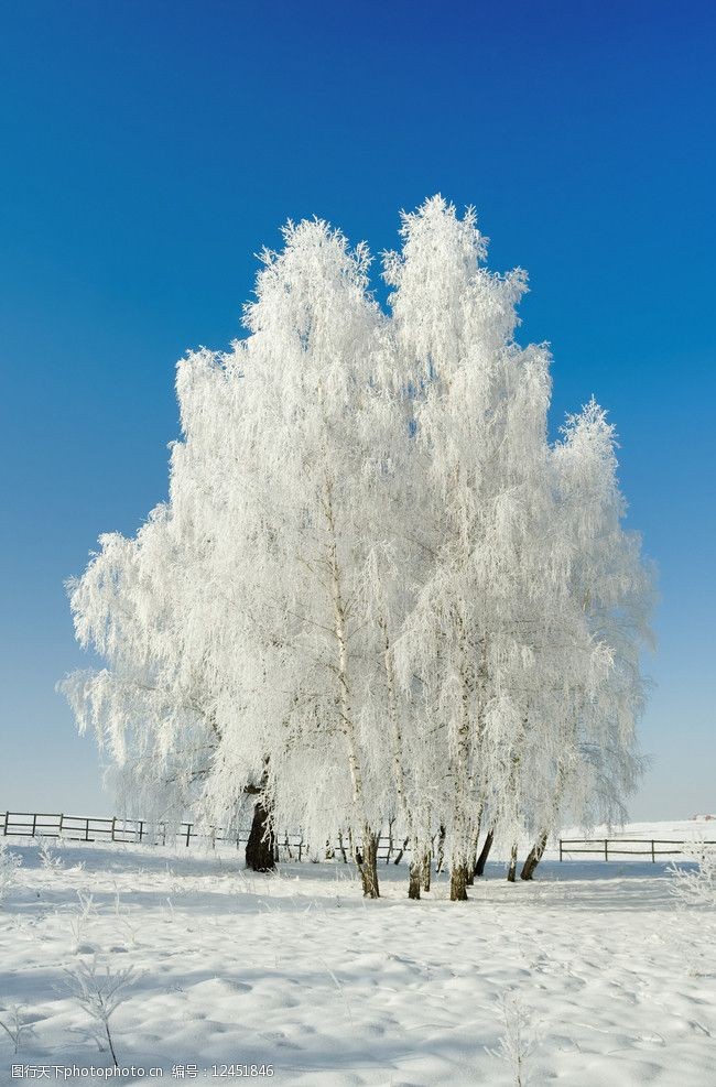 设计图库 设计元素 节日元素  关键词:冬季雪景高清图片 冬季 冬天