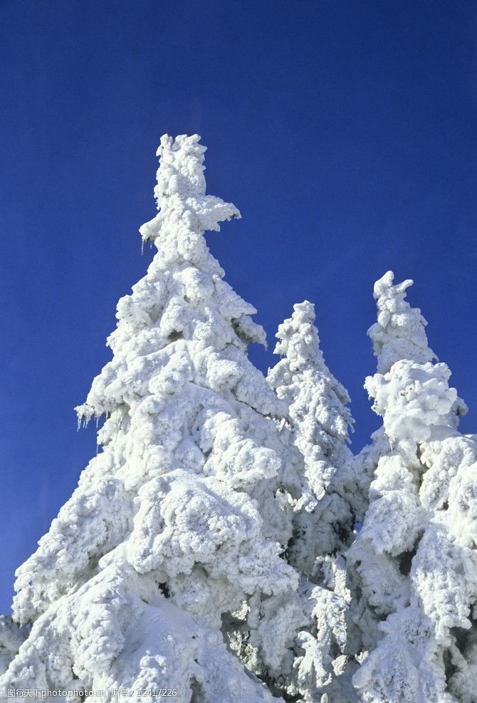 关键词:冬季树上雪景 冬季雪景 冬天雪景 树枝雪景 冬季风景 冬天风景