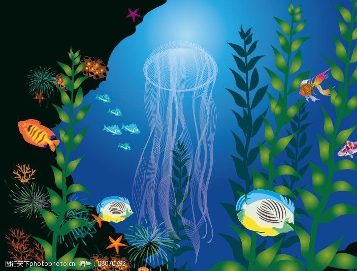 关键词:海底一角 海洋 海洋生物 插画 海底 生物 海底世界 生物世界