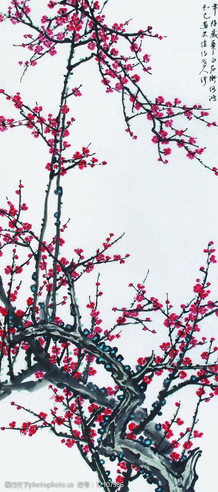 冬梅傲雪梅花图片