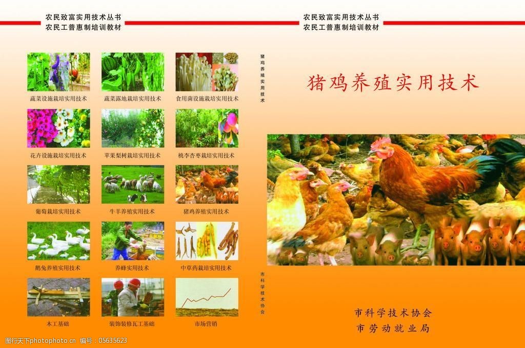 猪鸡养殖技术封皮图片