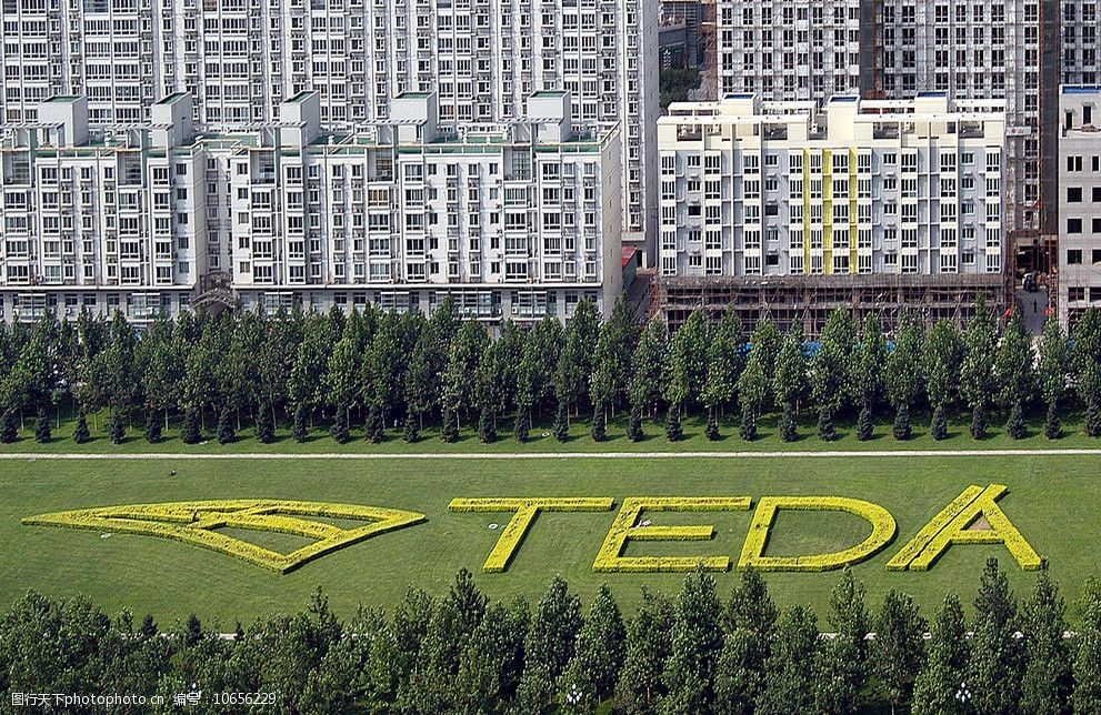 泰达teda草坪字图片