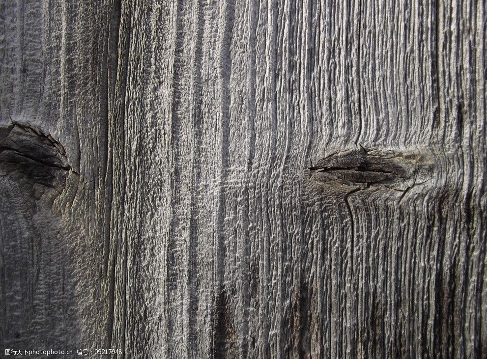 生物世界 树木树叶 关键词:树木树纹高清图片 树纹 树木 木纹 木板