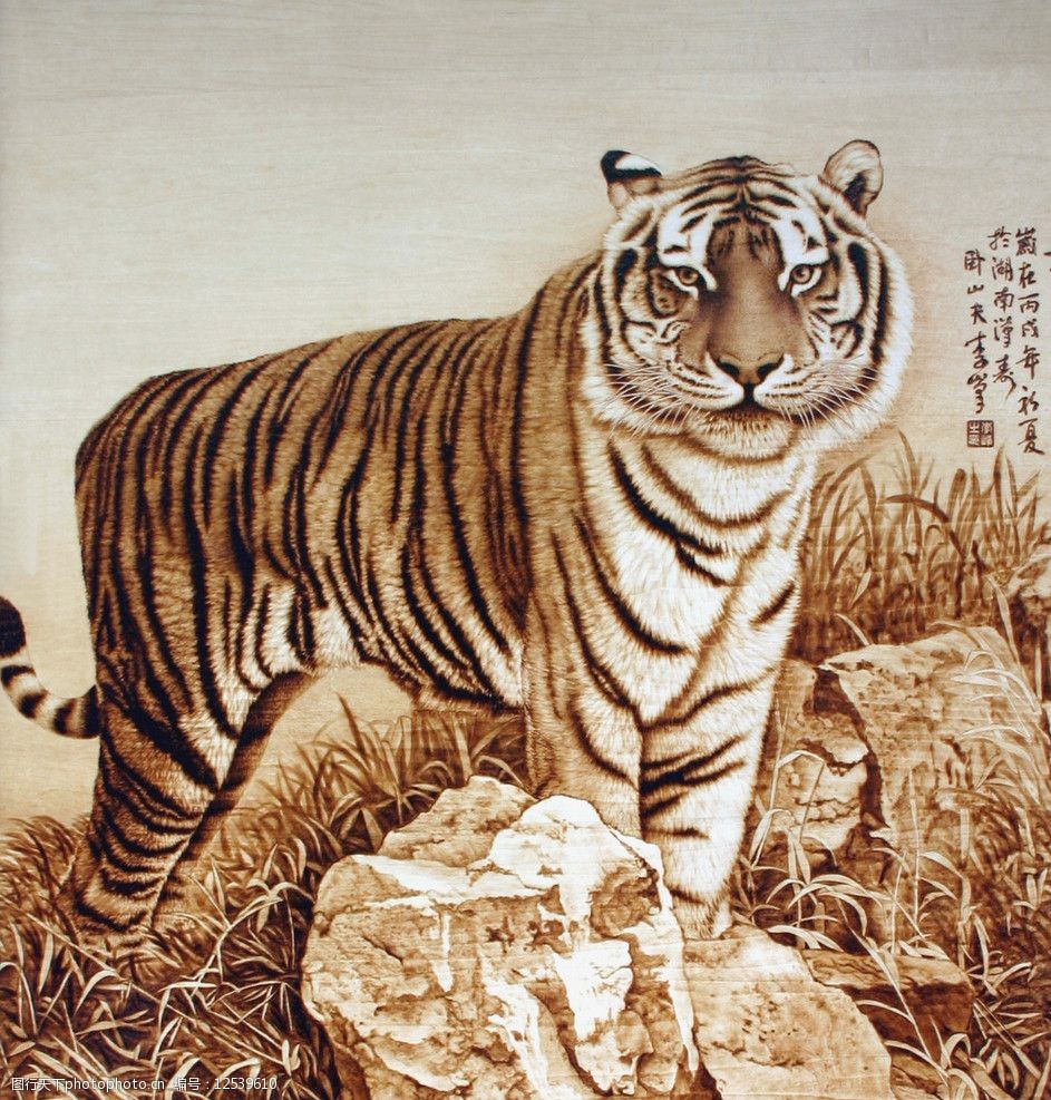 关键词:烙画 王者之风 动物 火针刺绣 老虎 猫科 绘画书法 文化艺术