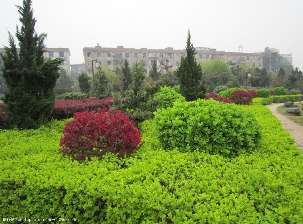 绿化带风景图片