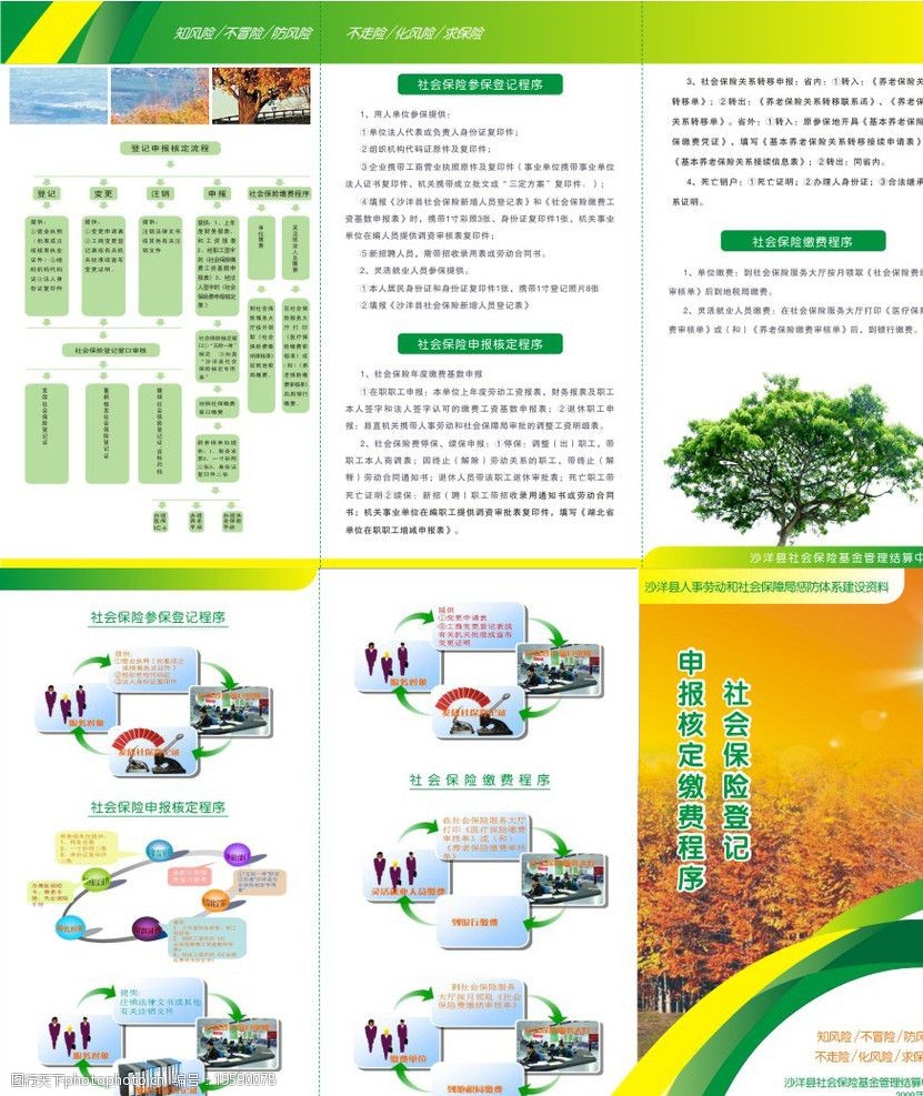 社会保险三折页图片