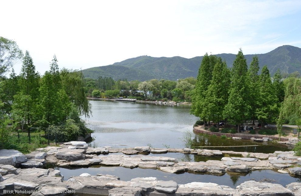 关键词:植物园的春天 植物园 水杉 湖面 春天 山水 自然风景 自然景观