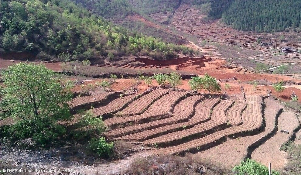 关键词:高隆梯田 四川省 攀枝花市 米易县 新山乡 高隆村 梯田 国内