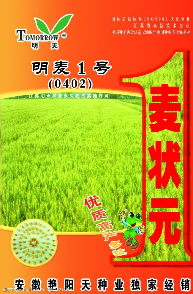 关键词:小麦包装设计 小麦 卡通 明麦一号 包装设计 广告设计模板 源