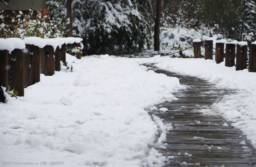 大雪中的小路图片