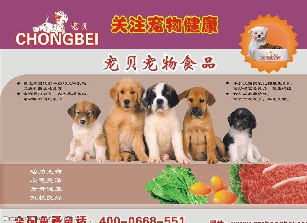 关键词:狗粮包装 宣传页 宠物食品 海报 个人设计失量图 花纹花边