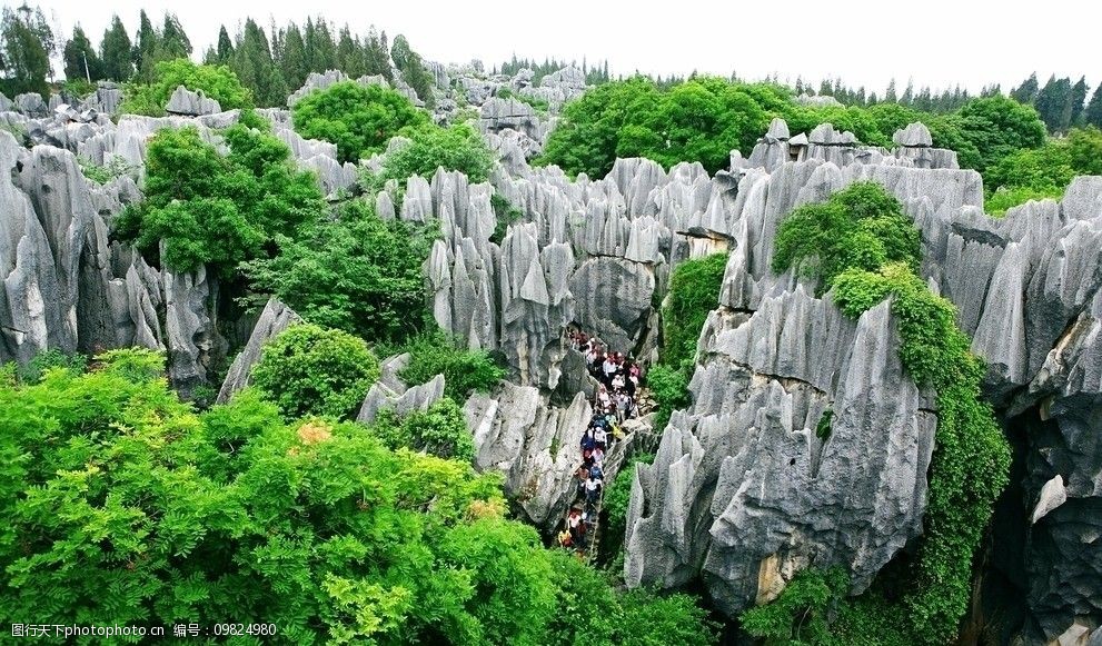 云南石林风景 云南 石林 风景 花草 石头 树林 树木 高清 风景名胜