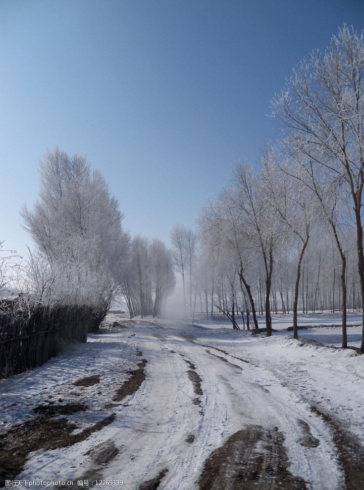 乡村冬季雪景图片图片-图行天下图库