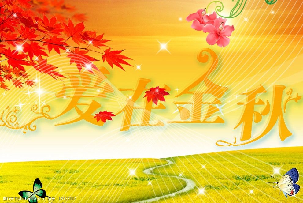 丰收的金秋图片