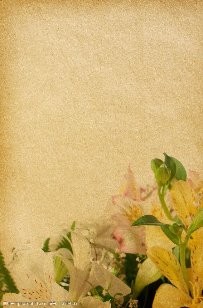 怀旧复古花纹背景图片