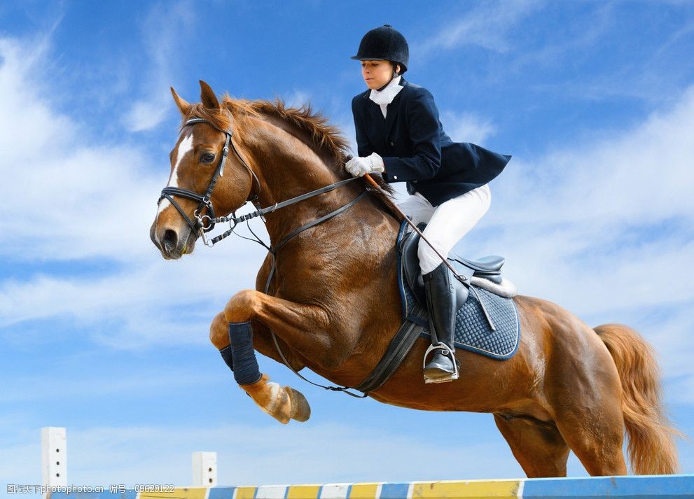 马术比赛图片