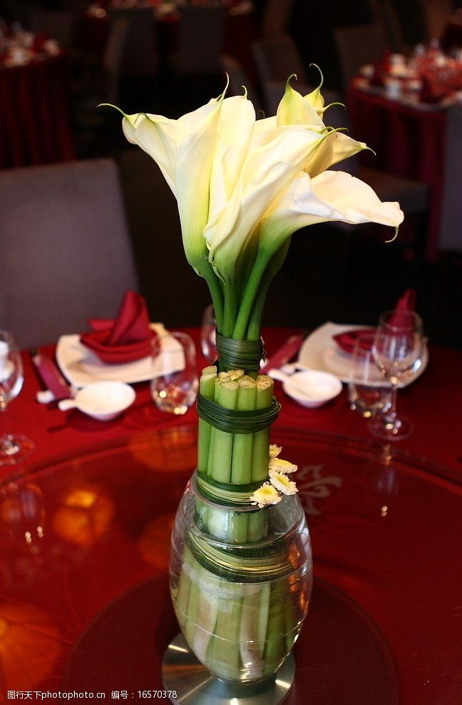 关键词:海芋花 花瓶 花叶 叶子 白色 餐桌 红色 花艺 花草 生物世界