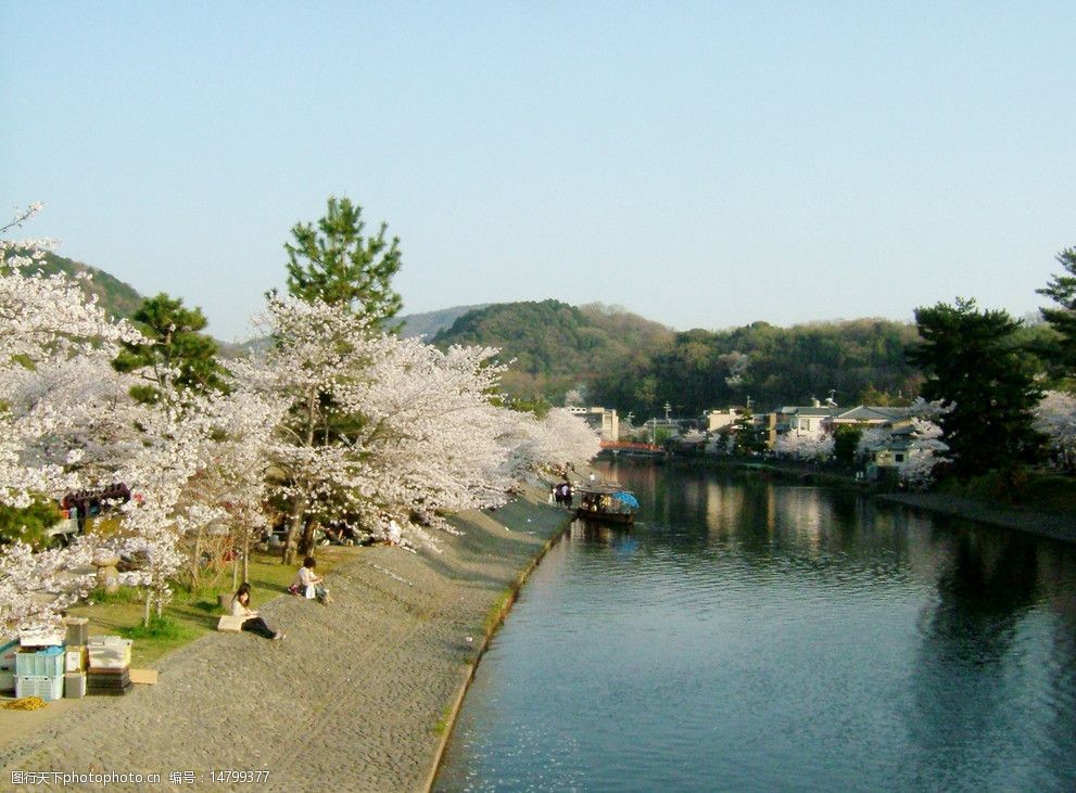 關鍵詞:宇治春天 櫻花 春天 風景 宇治 日本 旅遊 國外旅遊 旅遊攝影