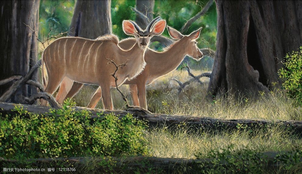 油画森林中的羚羊图片