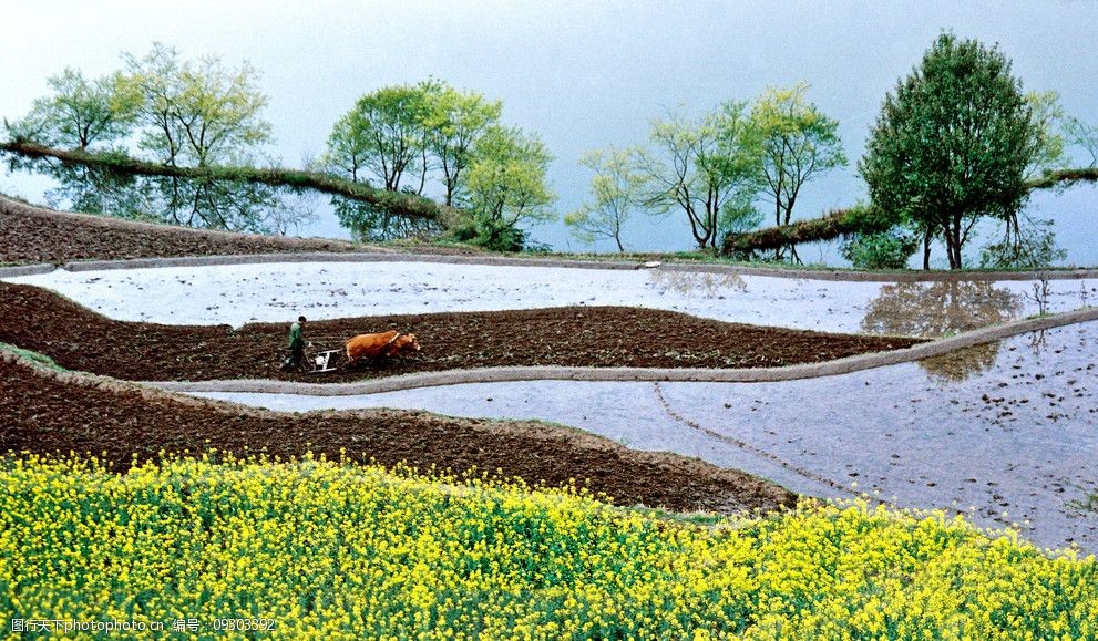 田園山水早春二月圖片