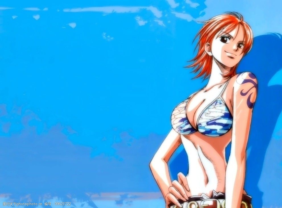 贼王onepiece娜美图片