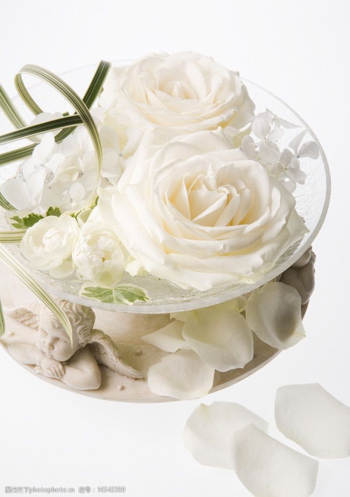 白玫瑰花图片唯美意境图片