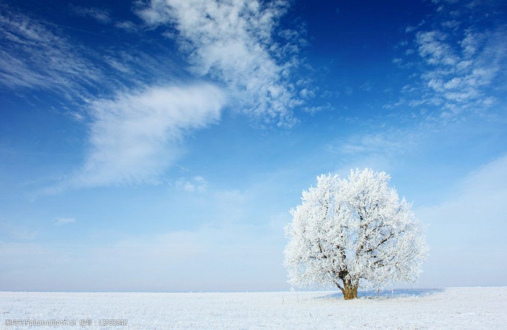 茫茫原野冬季雪景圖片