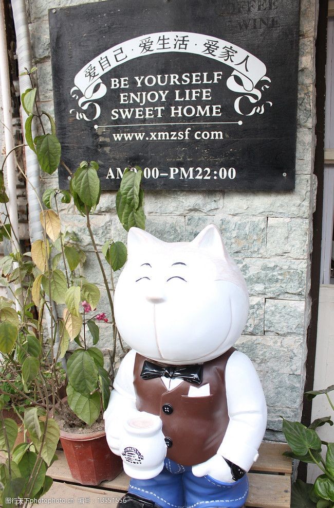 张三疯的猫图片