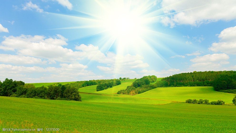 太阳春光明媚自然图片图片