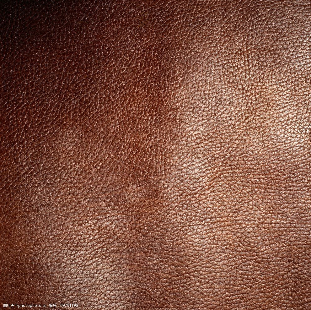 动物皮纹皮货图片