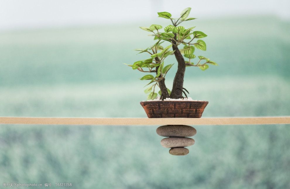 设计图库 生物世界 花草 关键词:盆景 小石 石头 小石头 绿叶 绿色