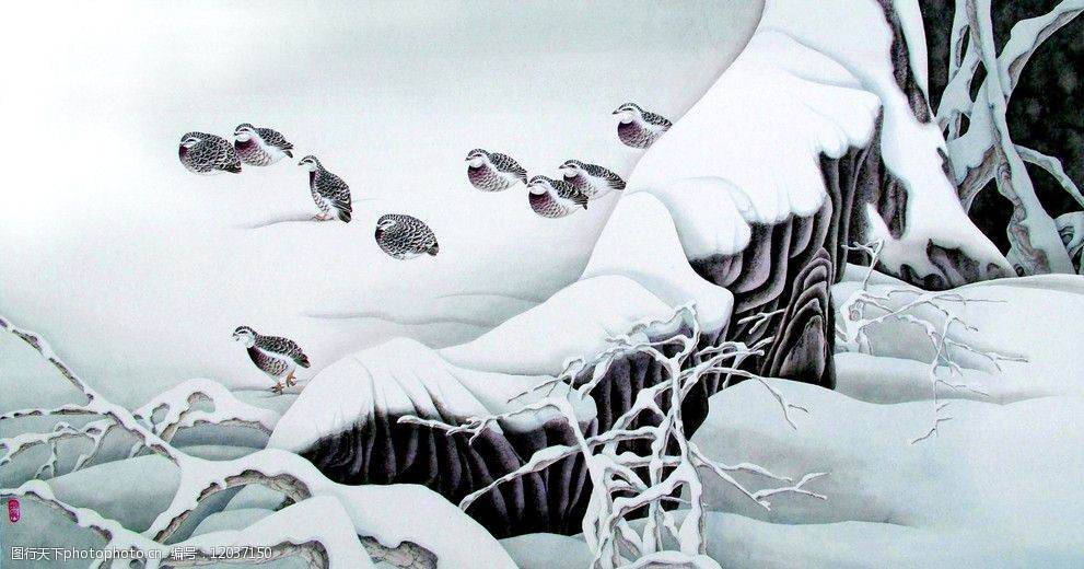 雪地鹌鹑图片