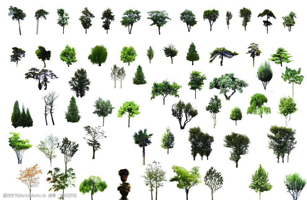 各种树木景观图片