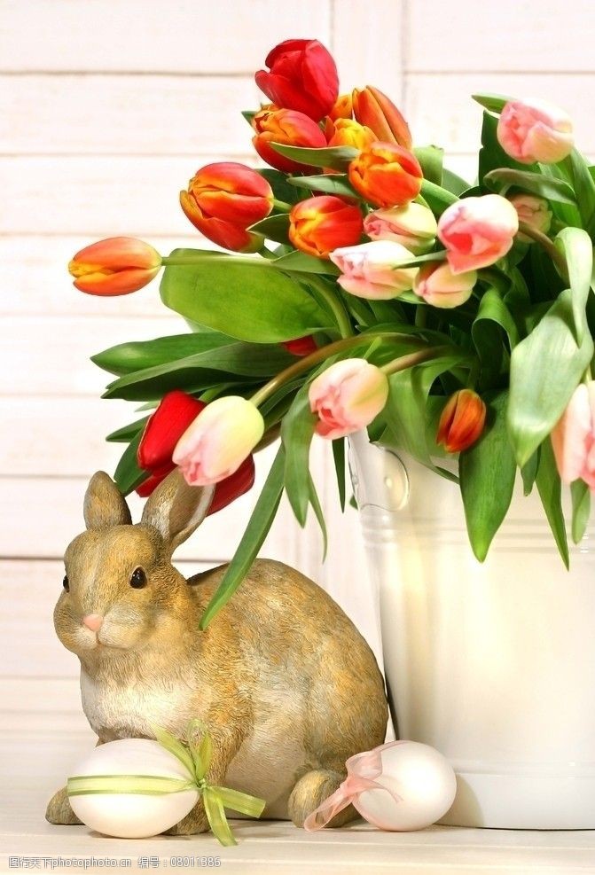 复活节兔子鲜花图片