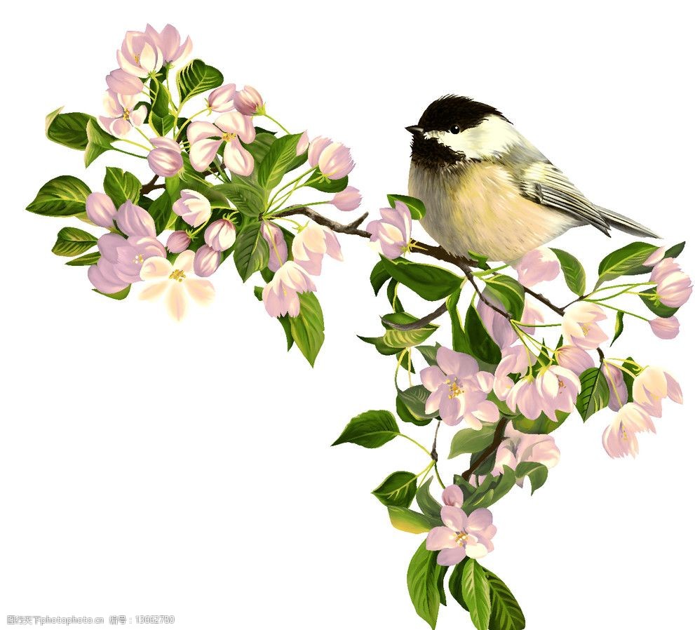 移门花鸟图案图片