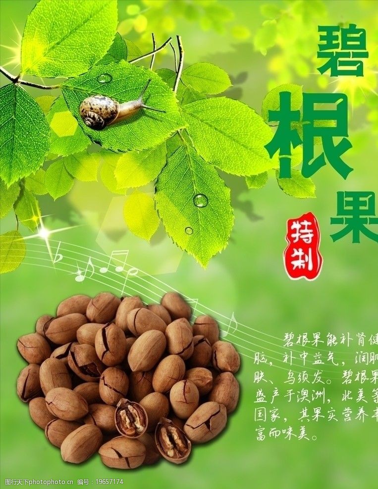 碧根果干果图片