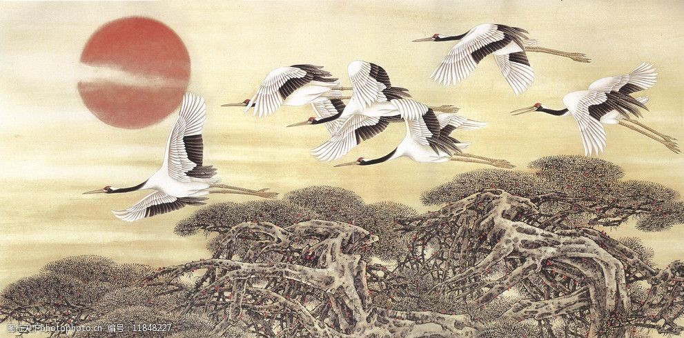 白鹤高鸣迎旭日青松枝上拂尘霞图片