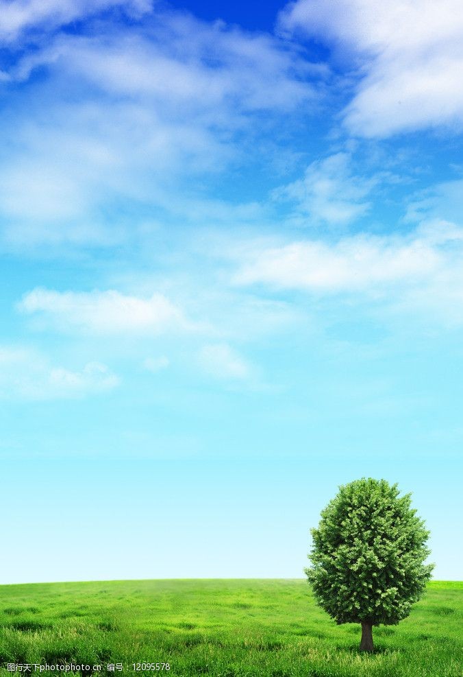 蓝天白云草地图片