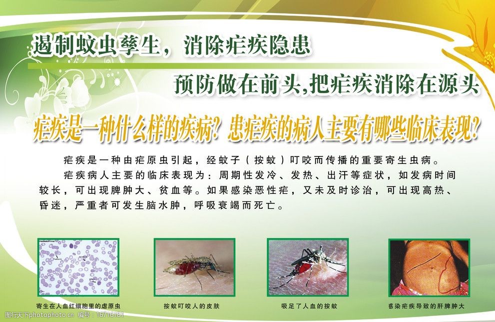疟疾展板图片