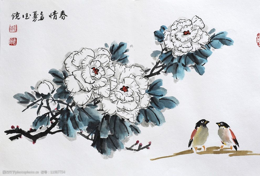 芙蓉花邱德镜图片