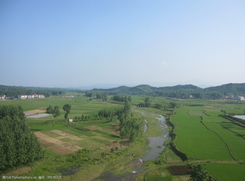 关键词:乡村风景 稻田 自然风景 蓝天 生物世界 摄影 96dpi jpg 田园