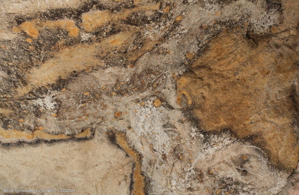 关键词:岩石底纹 摄影 黄色 肌理 墙壁 曲线 自然 米色 背景 底图