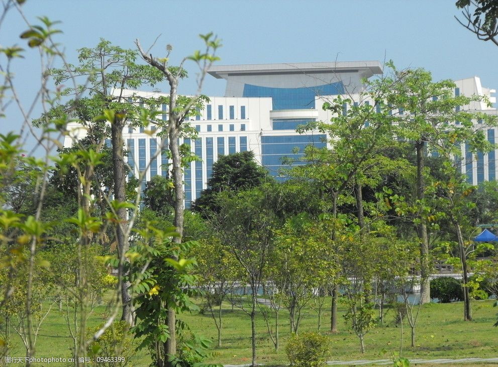 钦州市政府大楼图片