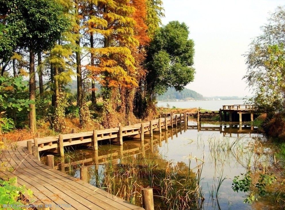 湖边的木栈道图片