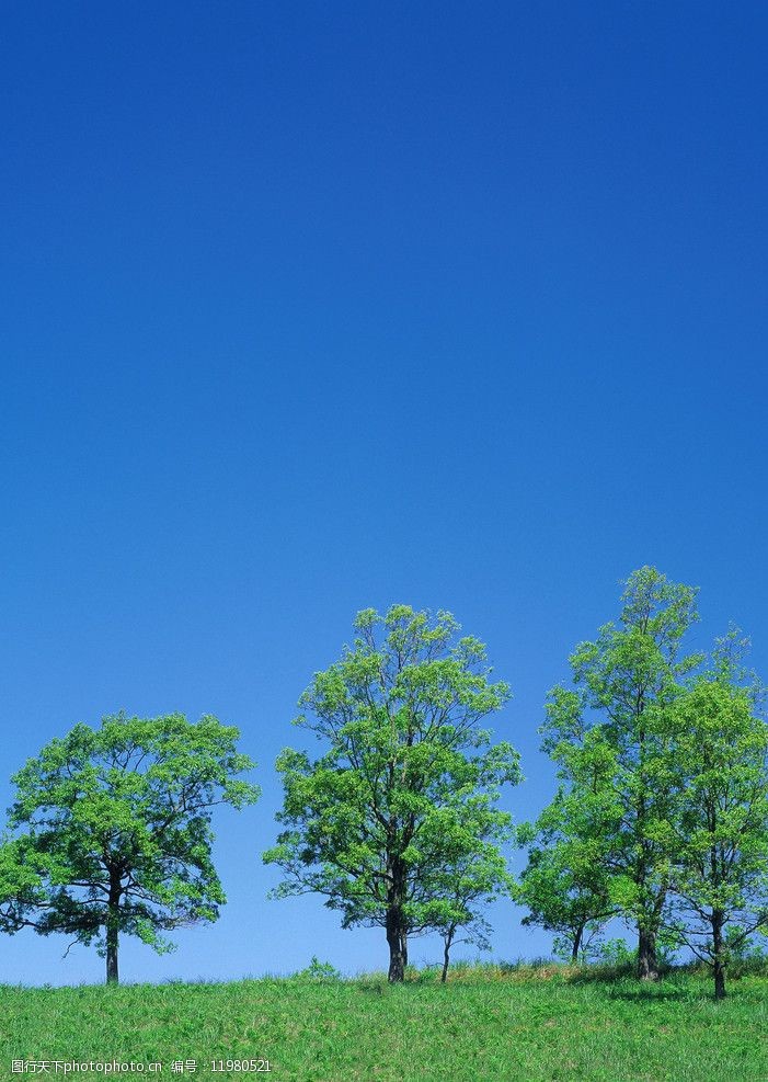 藍天白雲綠野田野圖片