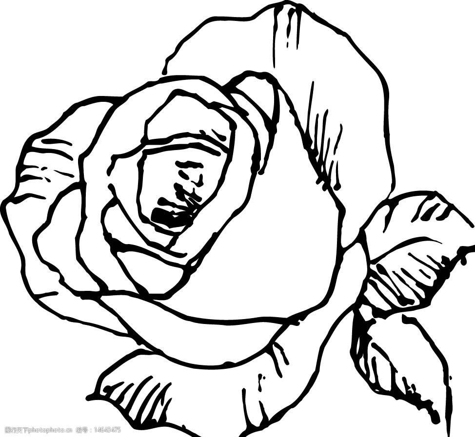 玫瑰花矢量图图片