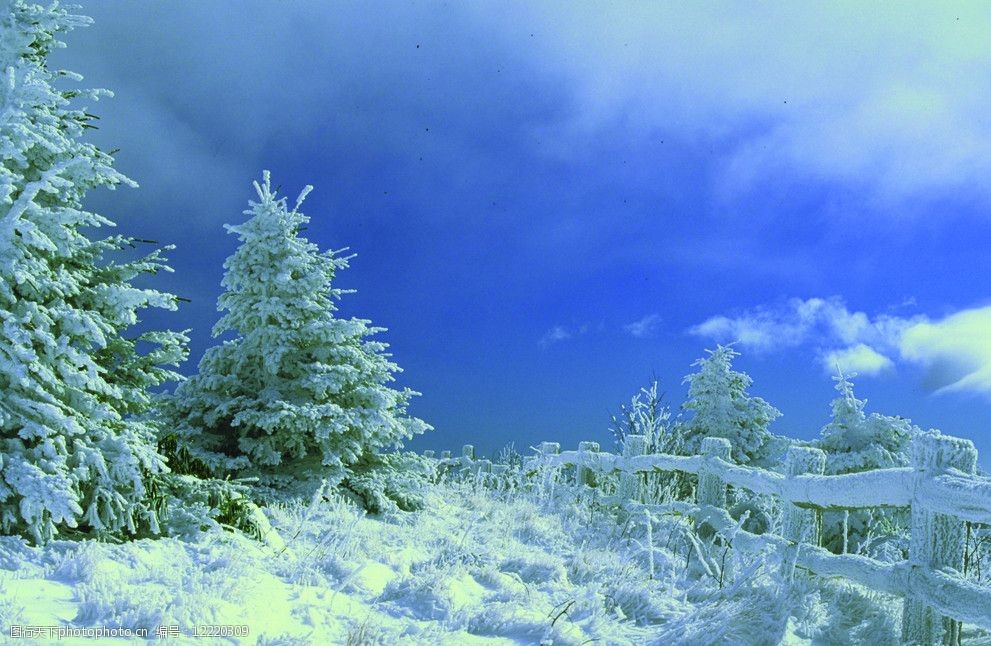 冰雪世界雪山风景图片