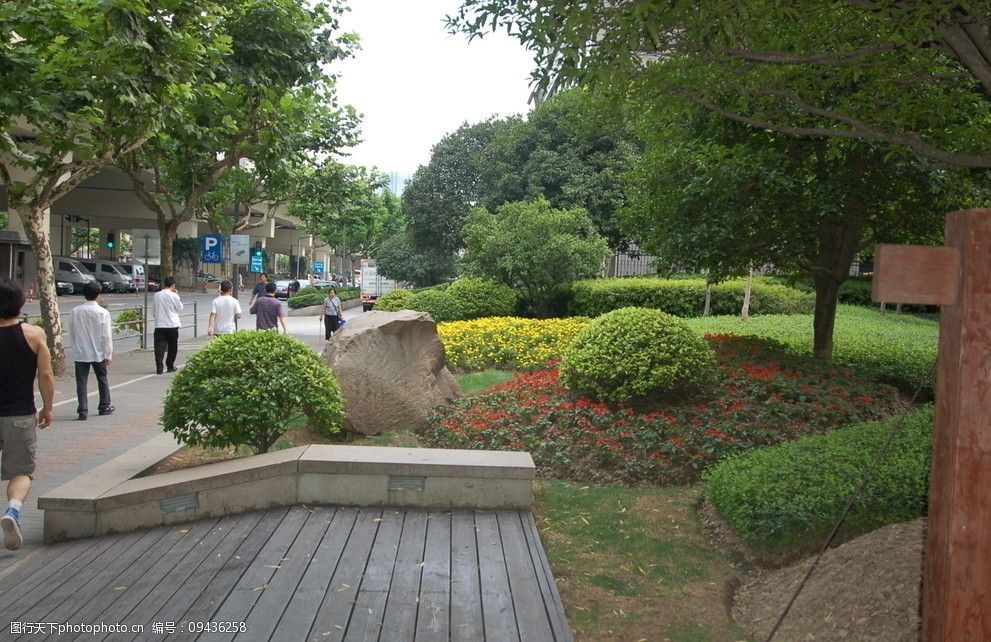 上海街头游园绿地照片图片