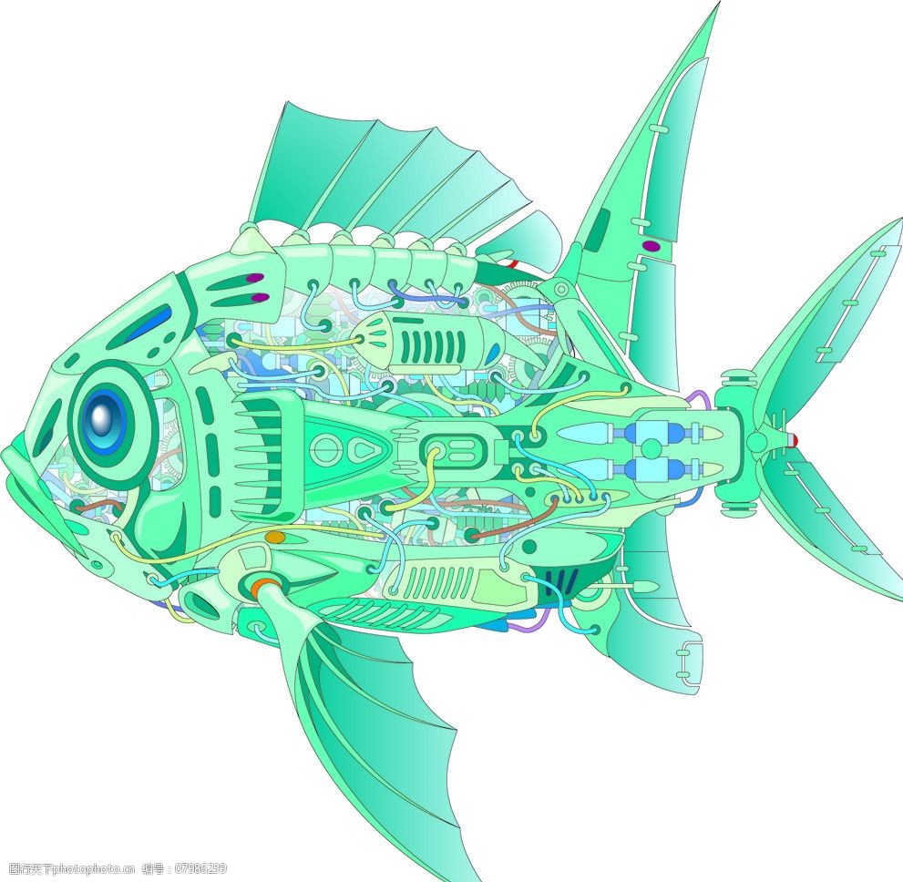矢量科技鱼图片