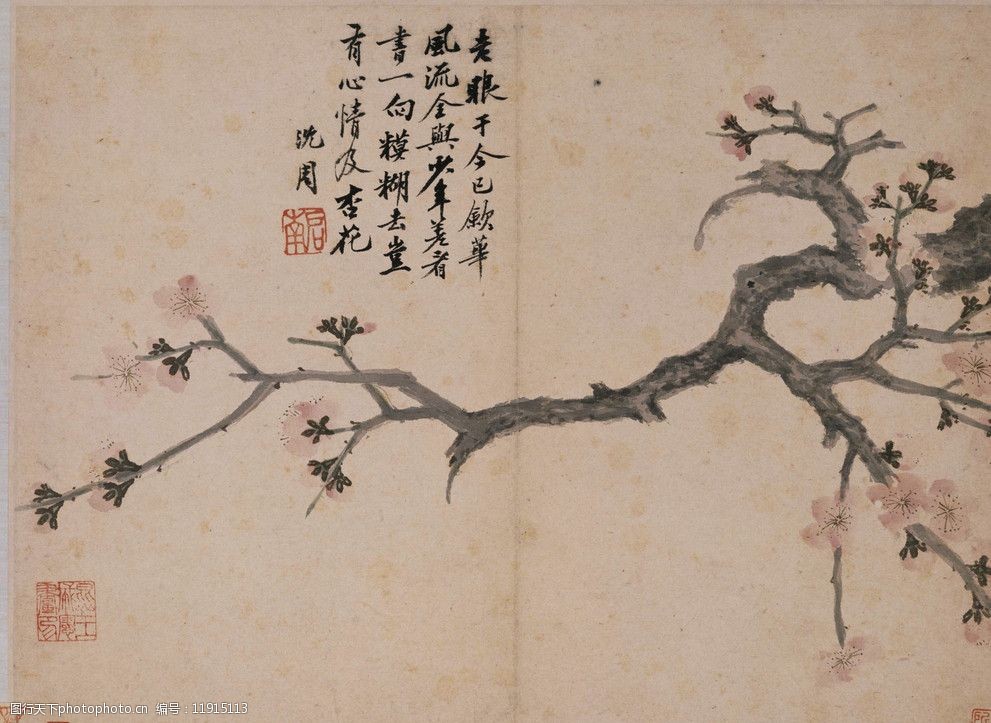 卧游图册杏花图片